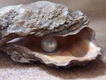 donde encontrar ostras con perlas en españa