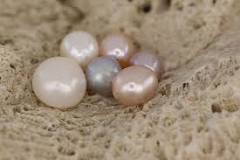 ¿Qué significado tiene la perla blanca?
