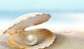¿Dónde se consiguen las perlas de mar?