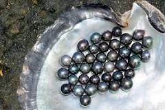 ¿Cómo se llama una perla negra?