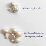 Perlas preciosas: los colgantes de perlas cultivadas