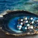 Compra Perlas Australianas Sueltas: Lo Mejor de la Naturaleza