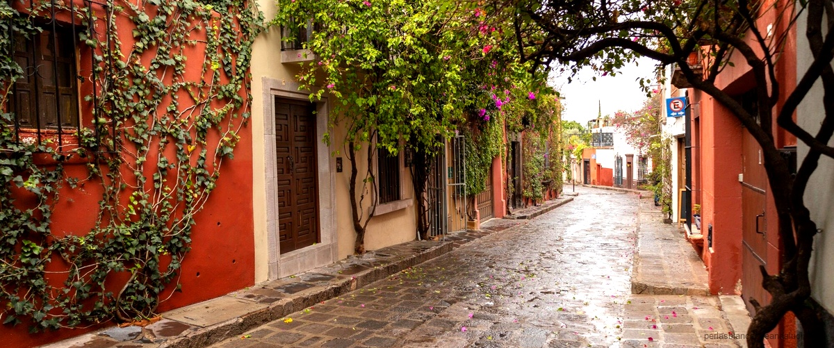 Calle Cañaveral 14 bajo Granada: Un rincón con encanto en la ciudad