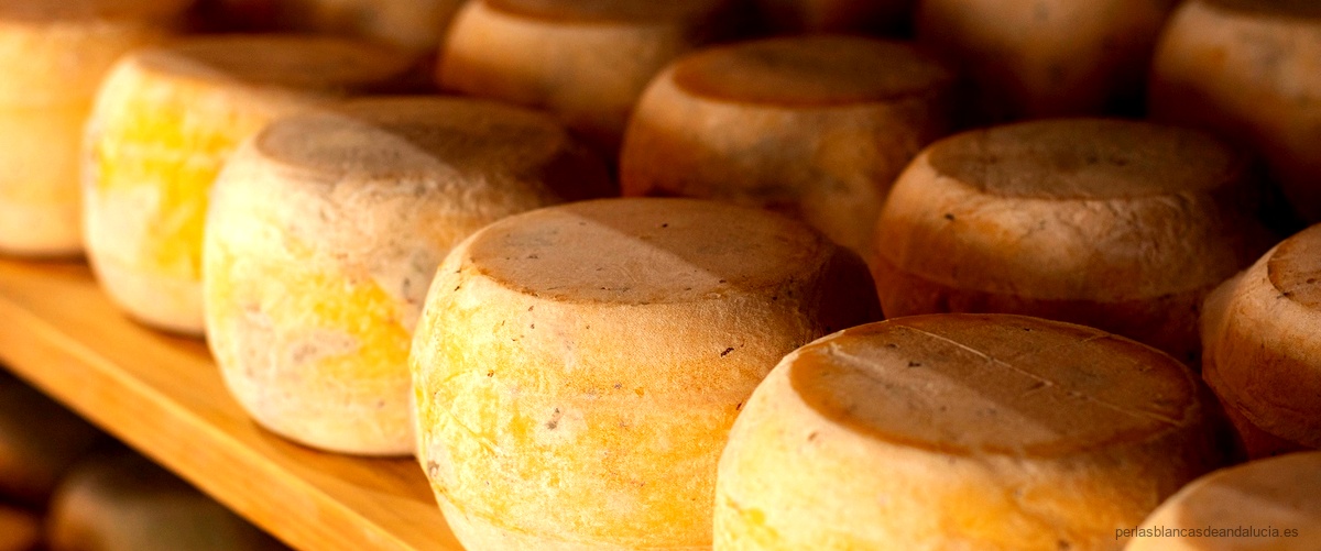 ¿Cuál es el mejor queso, el Brie o el Camembert?