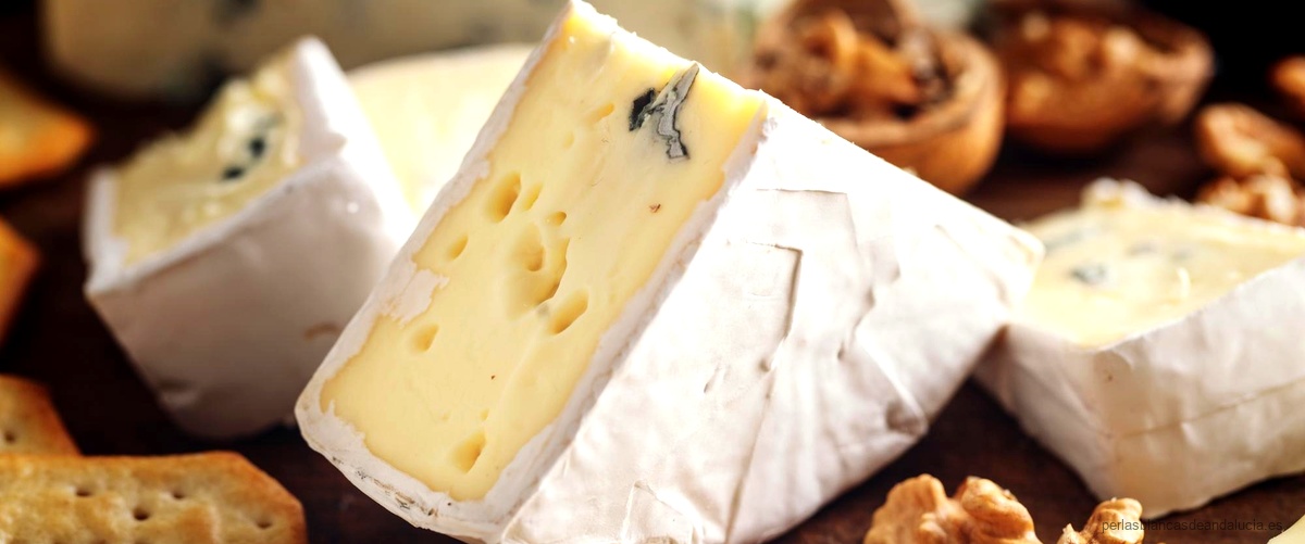 ¿Cuál es la diferencia entre el queso Roquefort y el queso azul?
