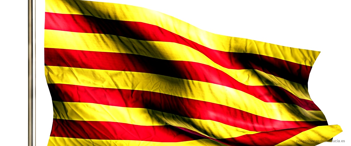 ¿Cuáles son los mejores pendientes con cierre catalán?