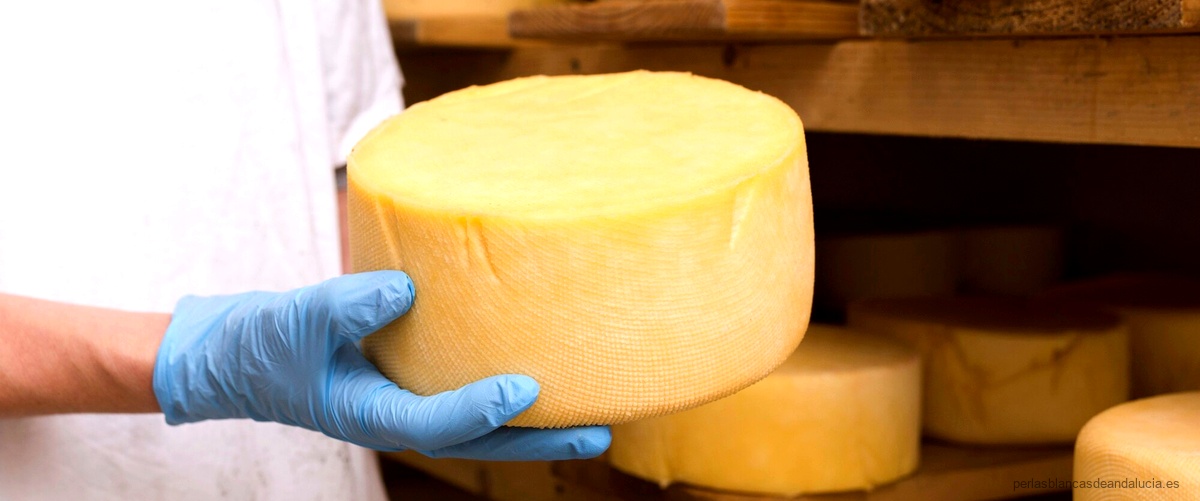 ¿Cuáles son los tipos de queso?