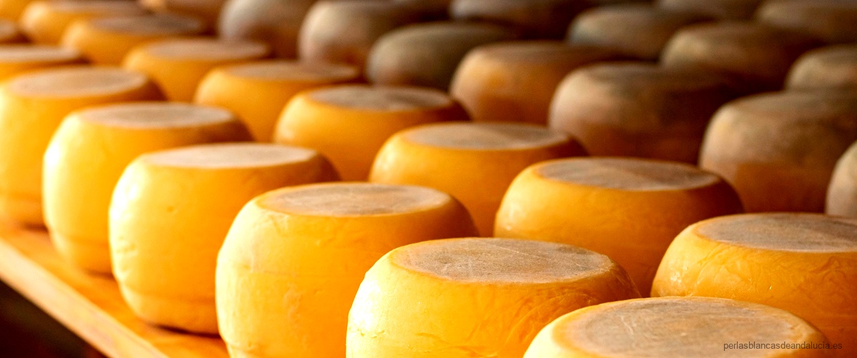 Descubre la variedad de quesos en Mercadona, incluyendo el premiado queso Roncal