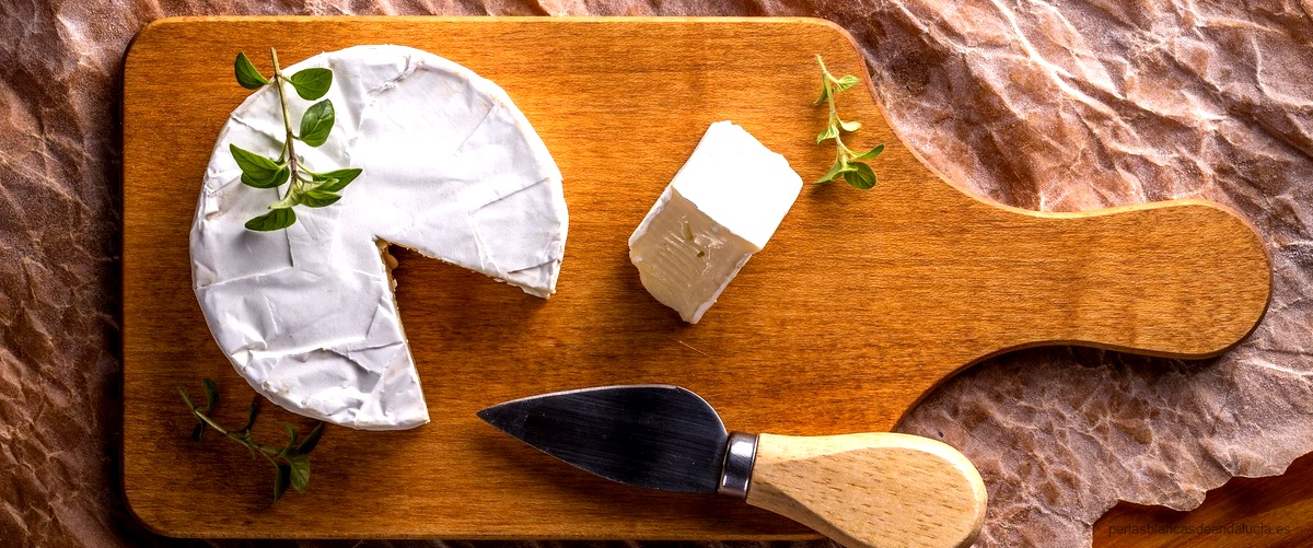 ¿Qué tan saludable es el queso Brie?